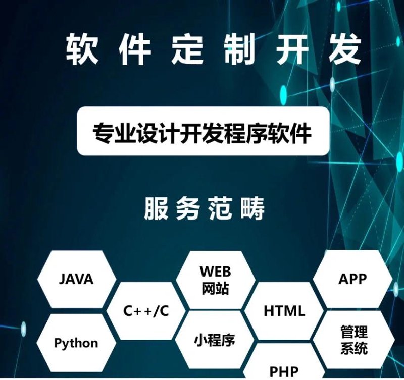 软件定制开发行业：未来趋势与现状